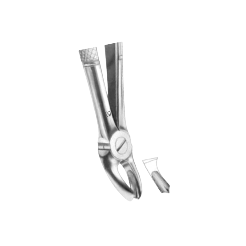 Forceps Inglés Derecho N°17 Con Espolón